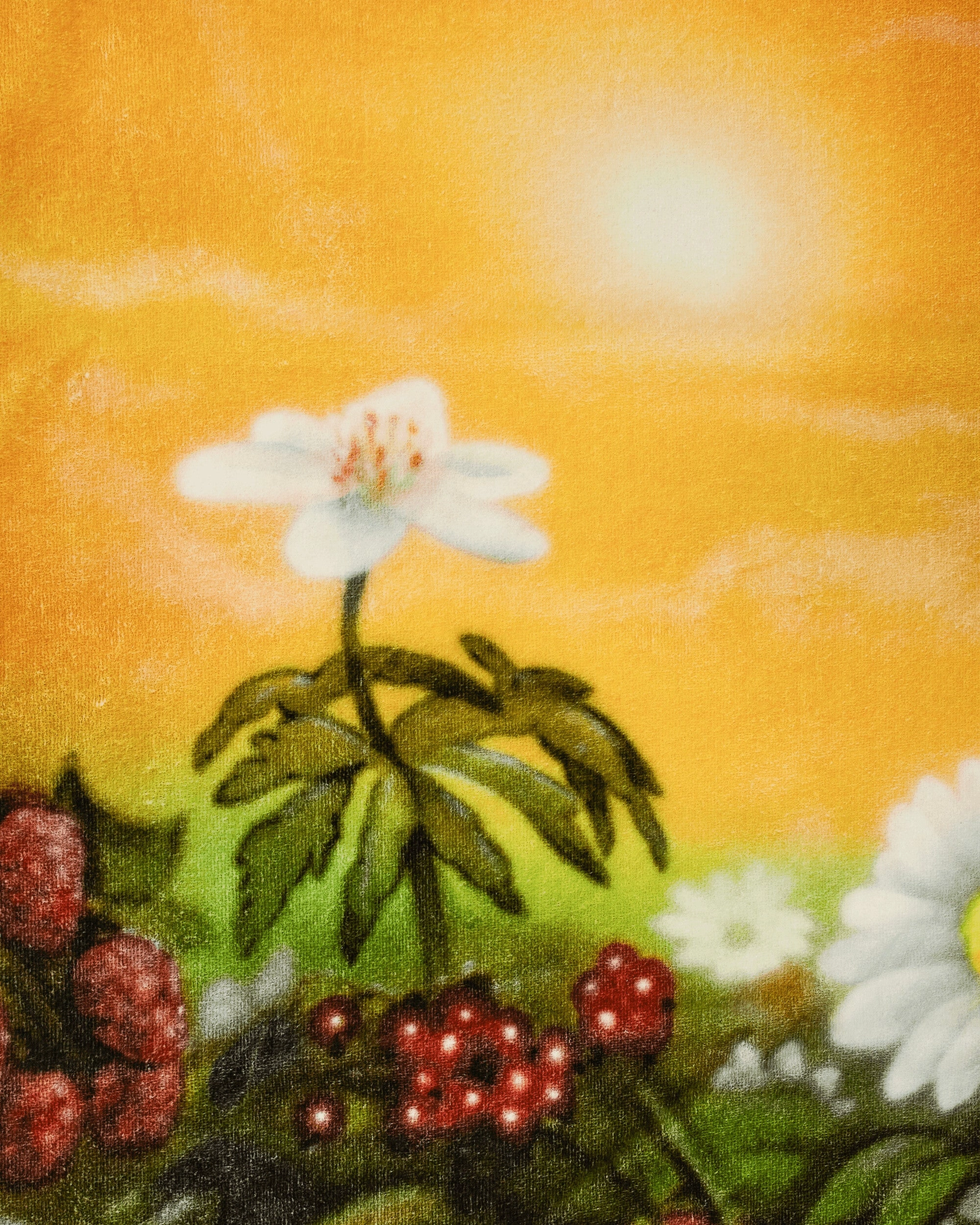 Airbrush Flowers Beach Towel Multicolor