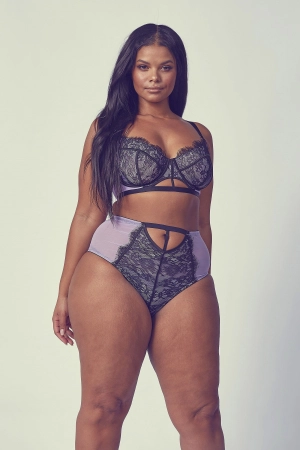 Myra Lilac Contrast Lace High Waist Brief